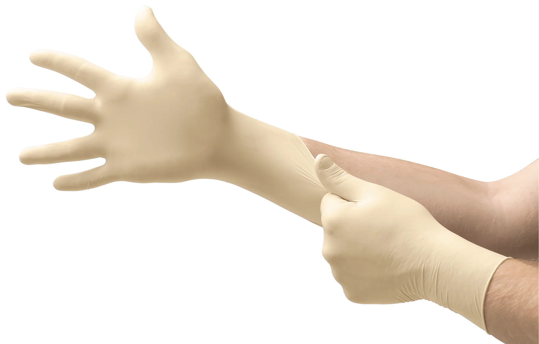 Latex Examination Gloves